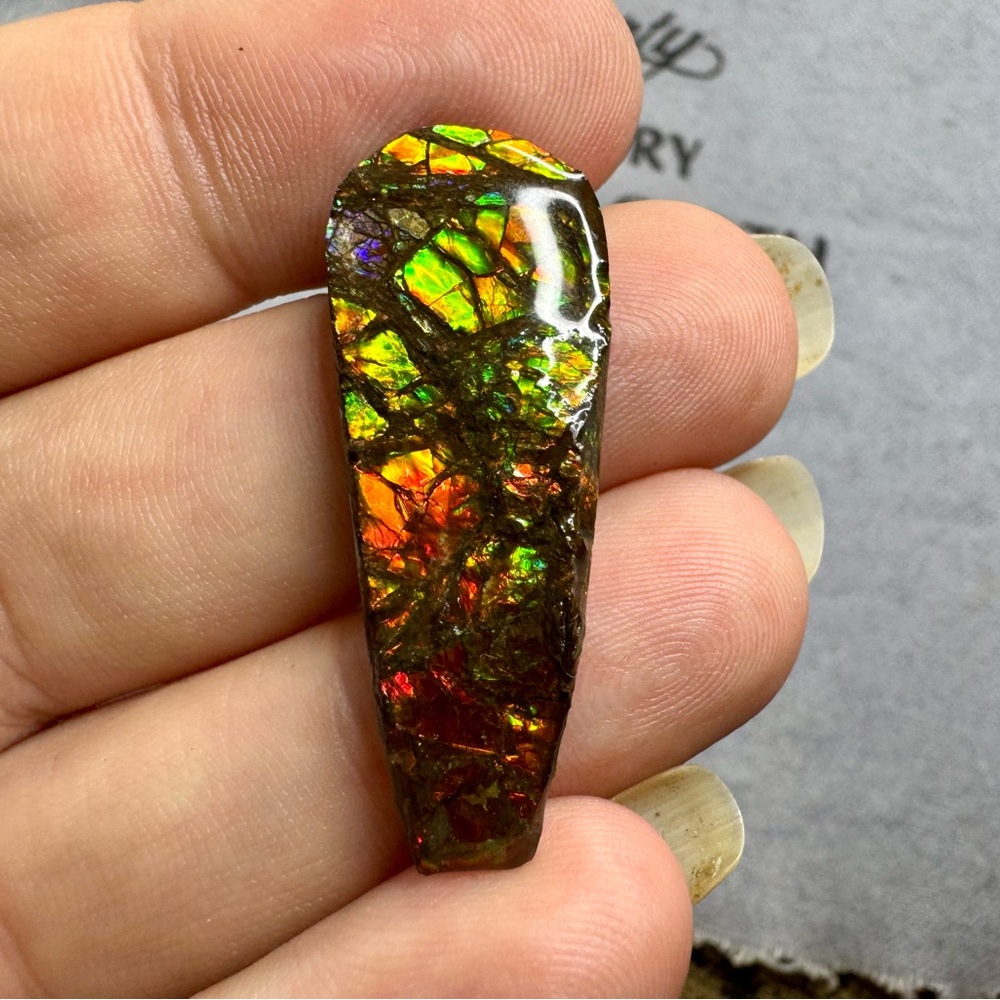 Hand Crafted Freeform Dragon Skin Ammolite